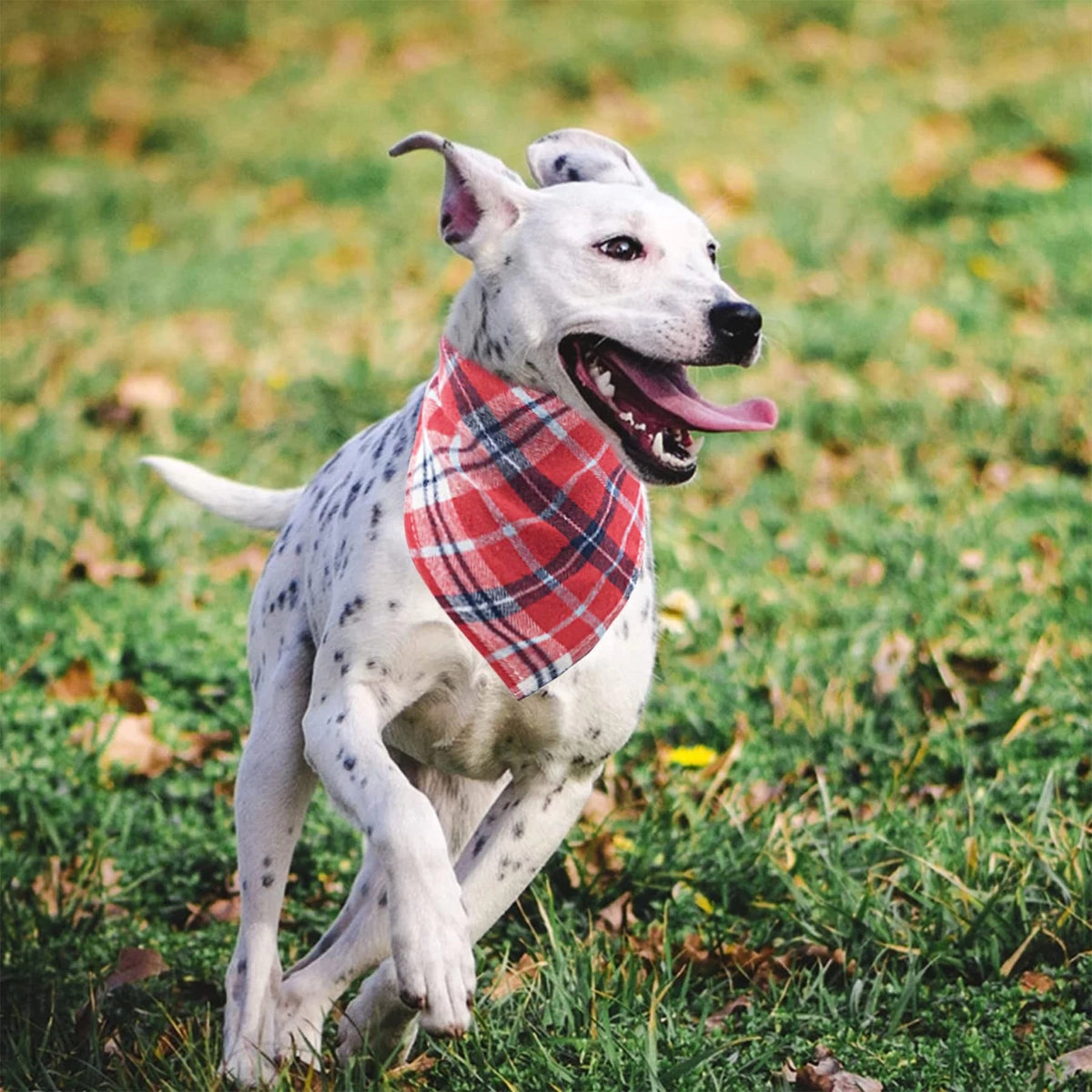 50 PCS Plaid Cotton Dog Bandanas Bulk Small Breed Triangle Pet Scarf Kerchief