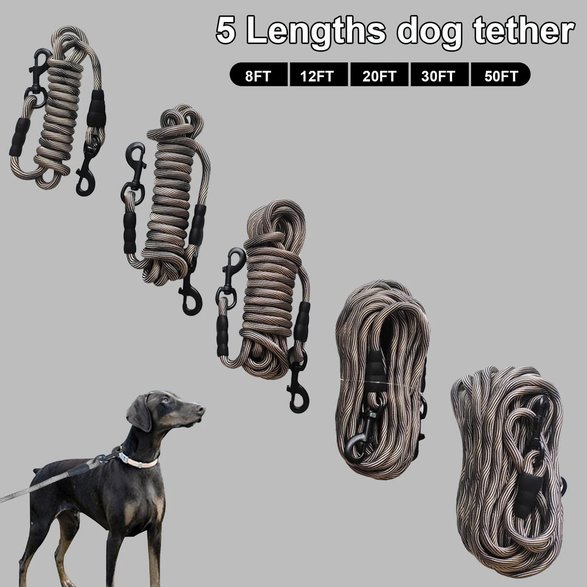 Heavy Duty Dog Tie Out Tether Long Training Leash Outdoor Yard Camp Rope Lead