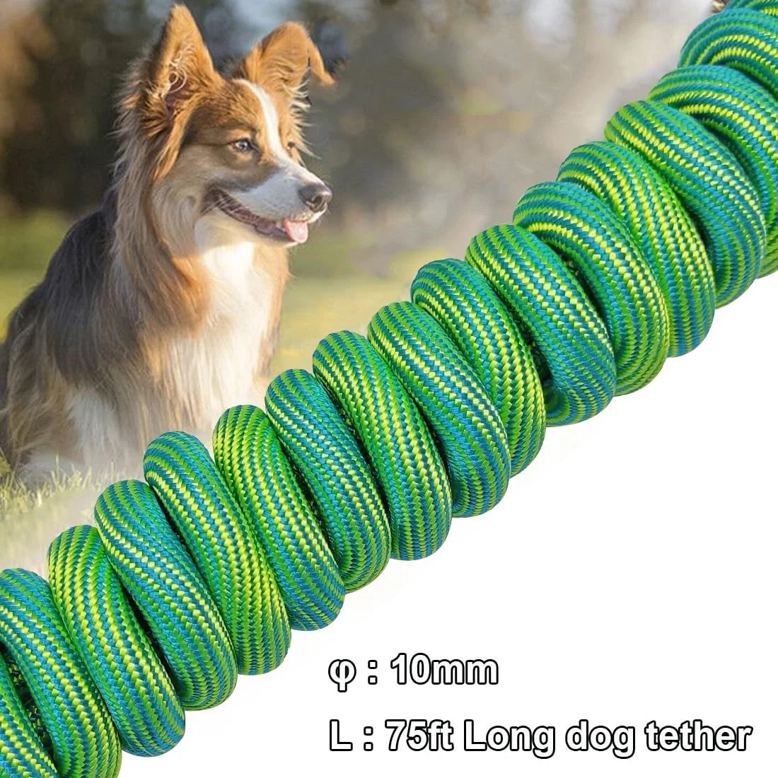 Heavy Duty Dog Tie Out Tether Long Training Leash Outdoor Yard Camp Rope Lead
