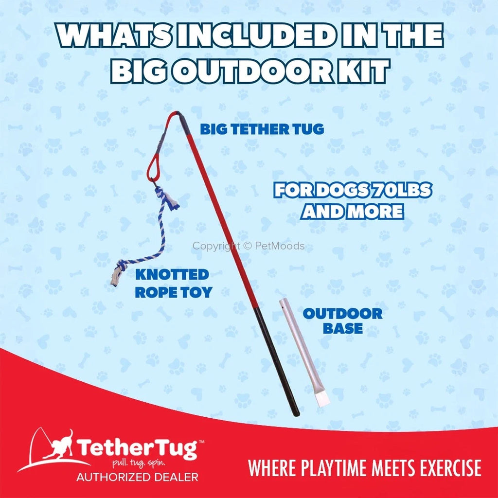 Tether Tug V2 Outdoor Dog Interactive Toy Tugging Pull Exercise 35-70 lbs and Up