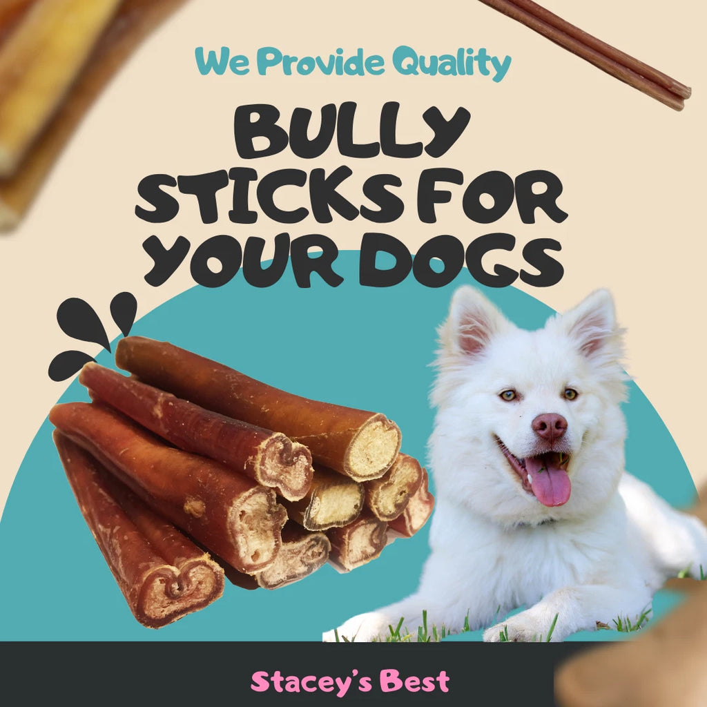 6" inch EXTRA THICK BULLY STICKS natural dog chews treats USDA & FDA approved