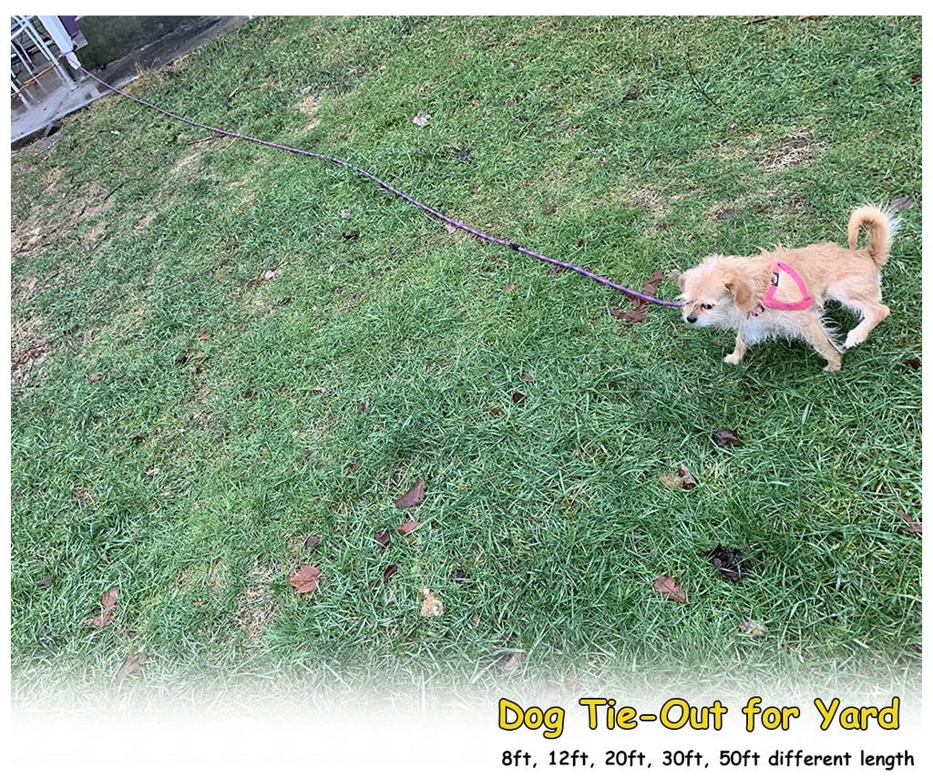 Heavy Duty Dog Tie Out Tether Long Training Leash Outdoor Yard Camp Rope Lead