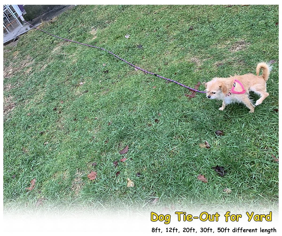 Heavy Duty Dog Tie Out Tether Long Training Leash Outdoor Yard Camp Rope Lead