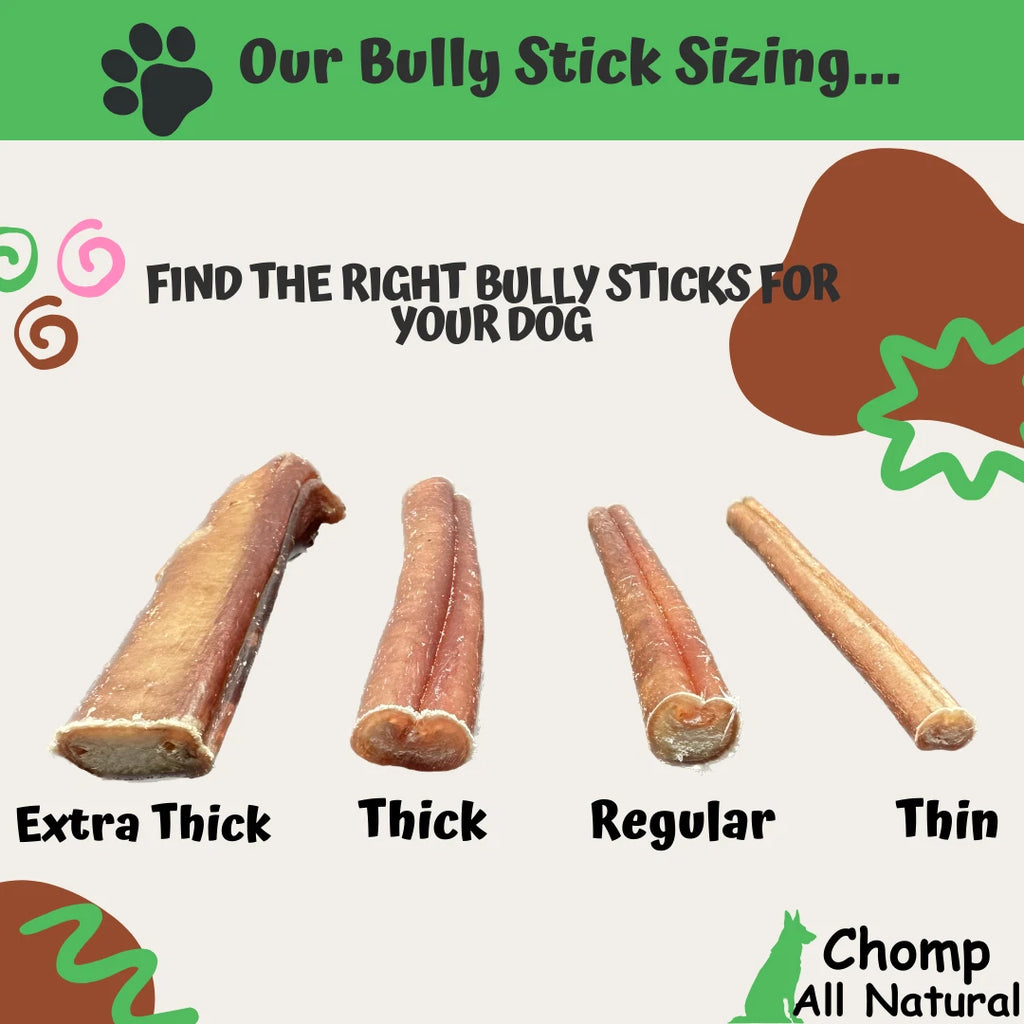 6" inch BULLY STICKS Natural Dog Treats Chews USDA & FDA Approved, By Chomp