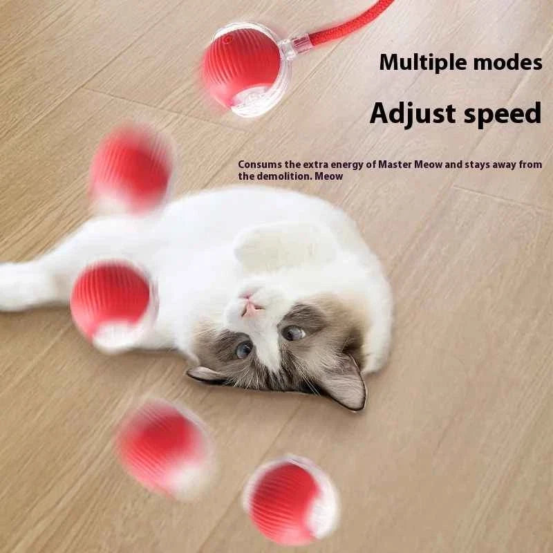 Automatic Rolling Ball Smart Cat Dog Toy Electric Pet Self-moving Kitten lot