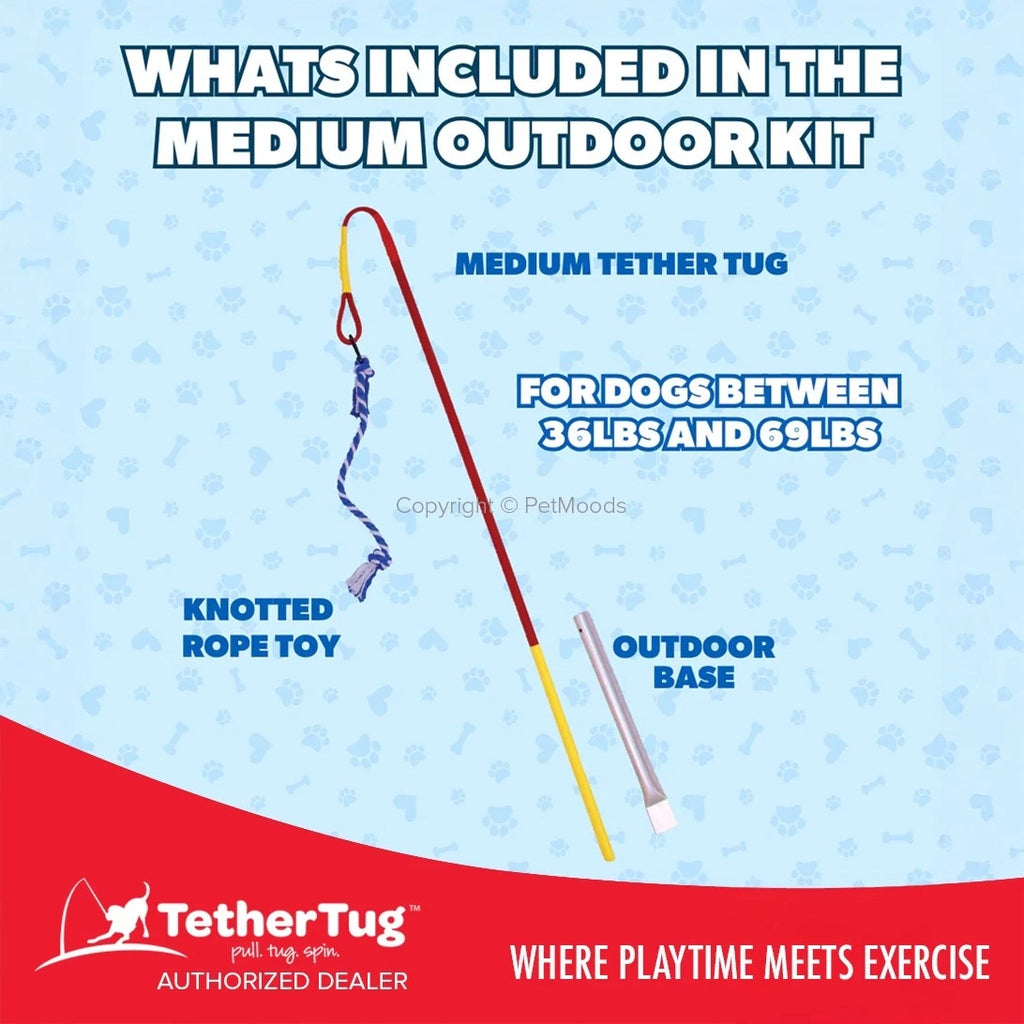 Tether Tug V2 Outdoor Dog Interactive Toy Tugging Pull Exercise 35-70 lbs and Up