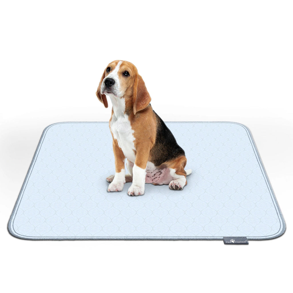 Paw Inspired Washable Dog Pads, Reusable Puppy Pee Wee Training Pads Extra Large