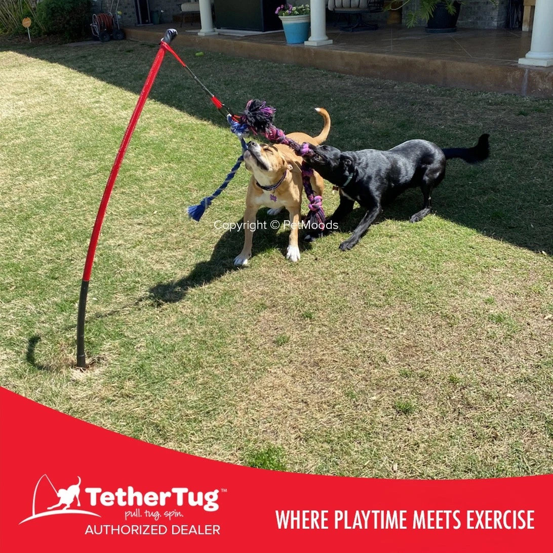 Tether Tug V2 Outdoor Dog Interactive Toy Tugging Pull Exercise 35-70 lbs and Up
