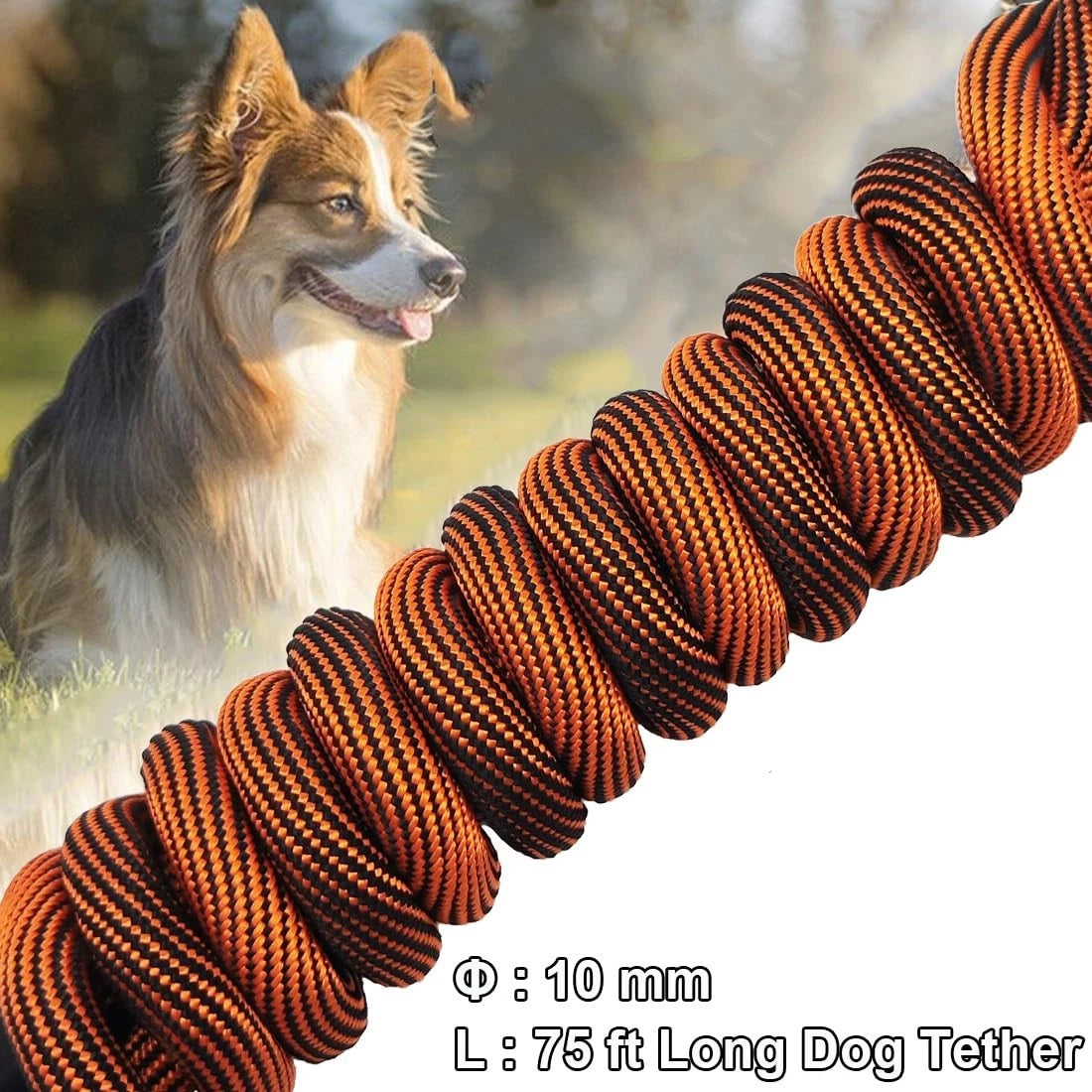 Heavy Duty Dog Tie Out Tether Long Training Leash Outdoor Yard Camp Rope Lead