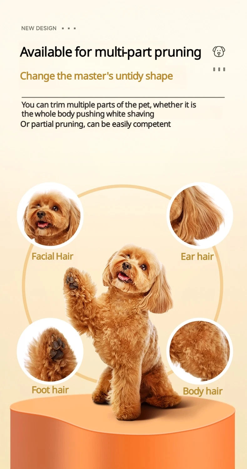 Professional 8000RPM Pet Clipper Kit for Large Dogs & Cats, Type-C, 4 Speeds