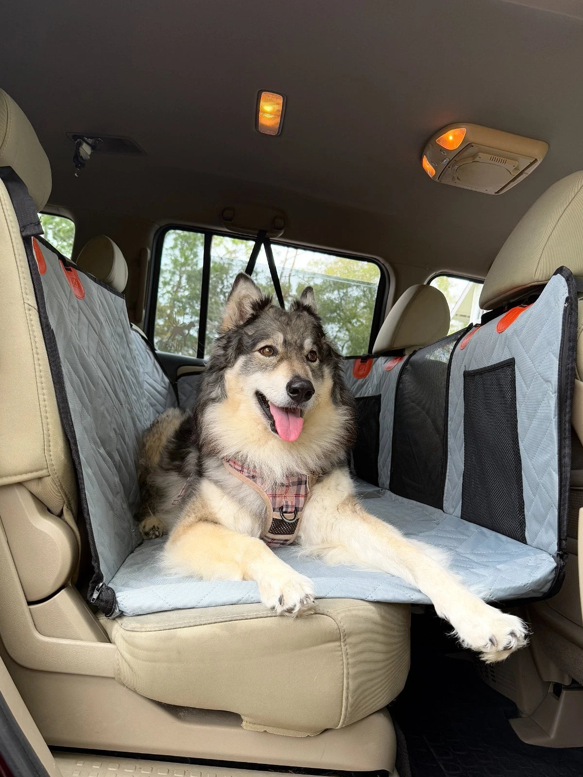 Hard Bottom Dog Car Back Seat Cover Waterproof Hammock w/Side Flap for SUV Truck