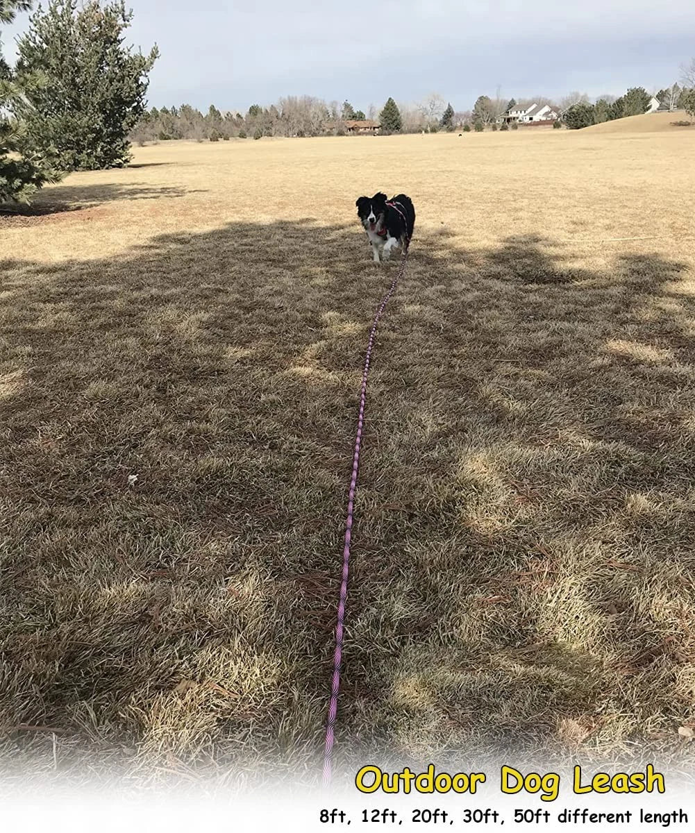 Heavy Duty Dog Tie Out Tether Long Training Leash Outdoor Yard Camp Rope Lead