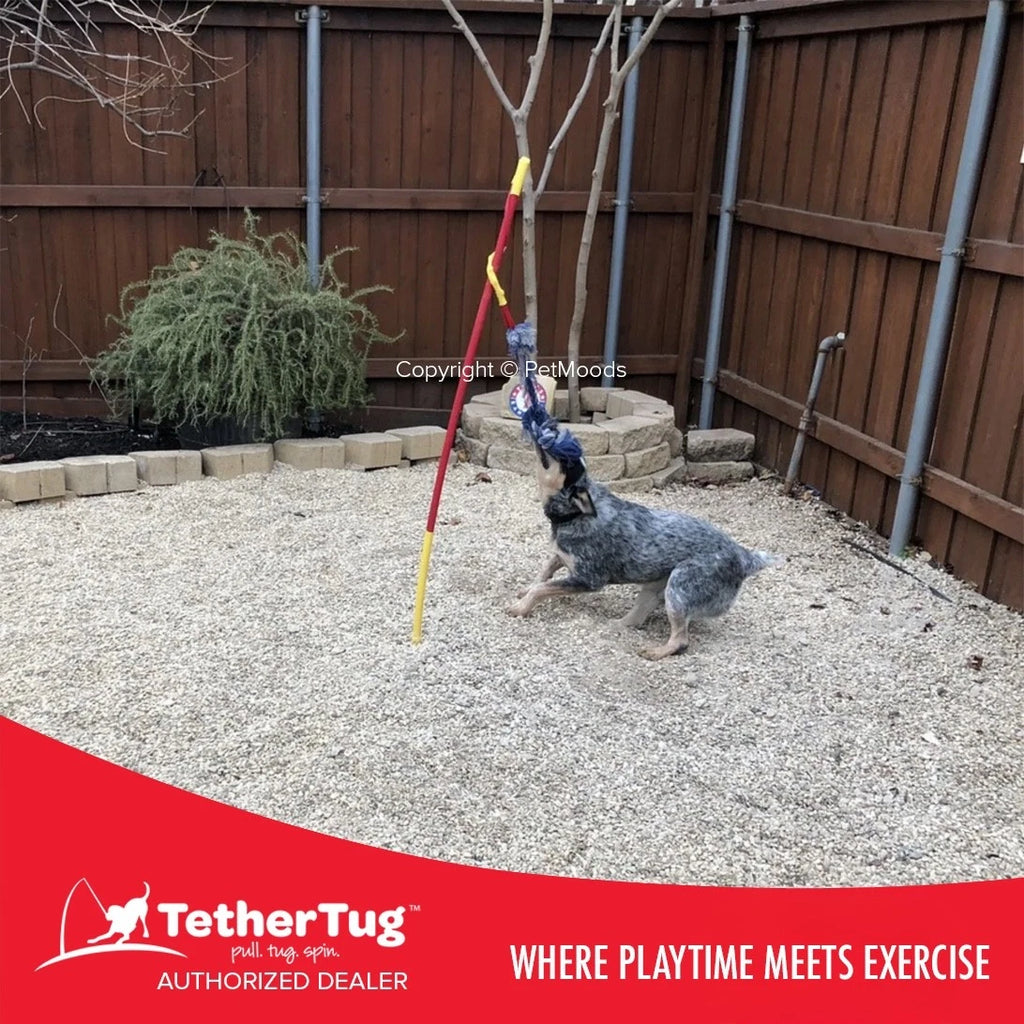 Tether Tug V2 Outdoor Dog Interactive Toy Tugging Pull Exercise 35-70 lbs and Up