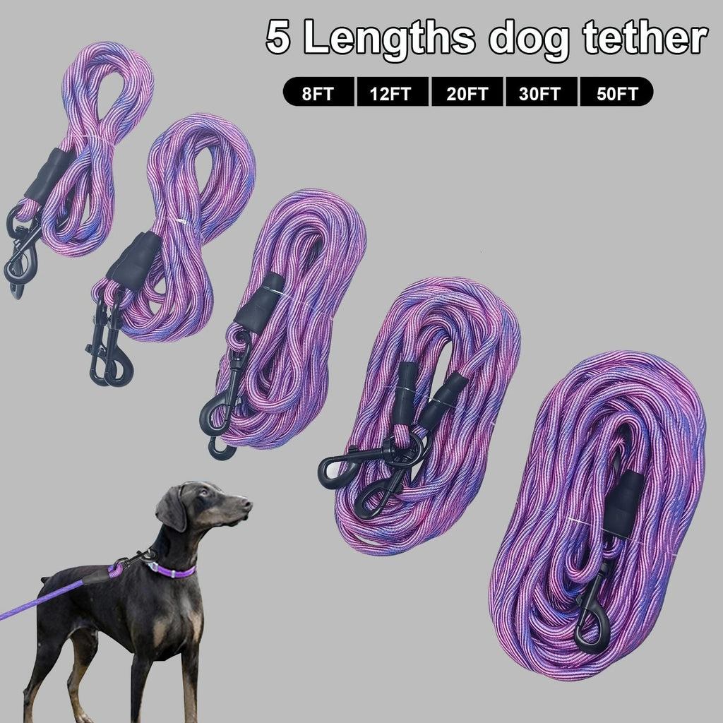 Heavy Duty Dog Tie Out Tether Long Training Leash Outdoor Yard Camp Rope Lead