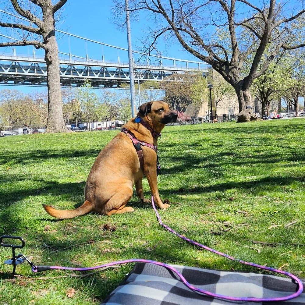 Heavy Duty Dog Tie Out Tether Long Training Leash Outdoor Yard Camp Rope Lead