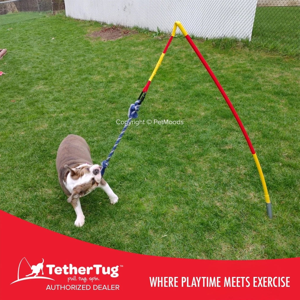 Tether Tug V2 Outdoor Dog Interactive Toy Tugging Pull Exercise 35-70 lbs and Up