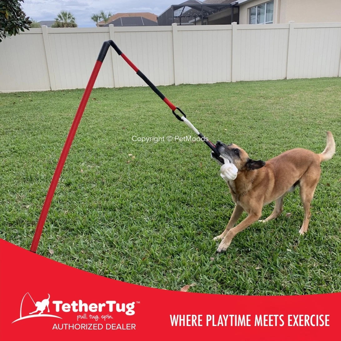 Tether Tug V2 Outdoor Dog Interactive Toy Tugging Pull Exercise 35-70 lbs and Up