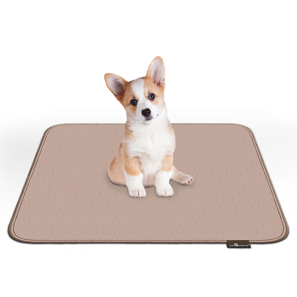 Paw Inspired Washable Dog Pads, Reusable Puppy Pee Wee Training Pads Extra Large