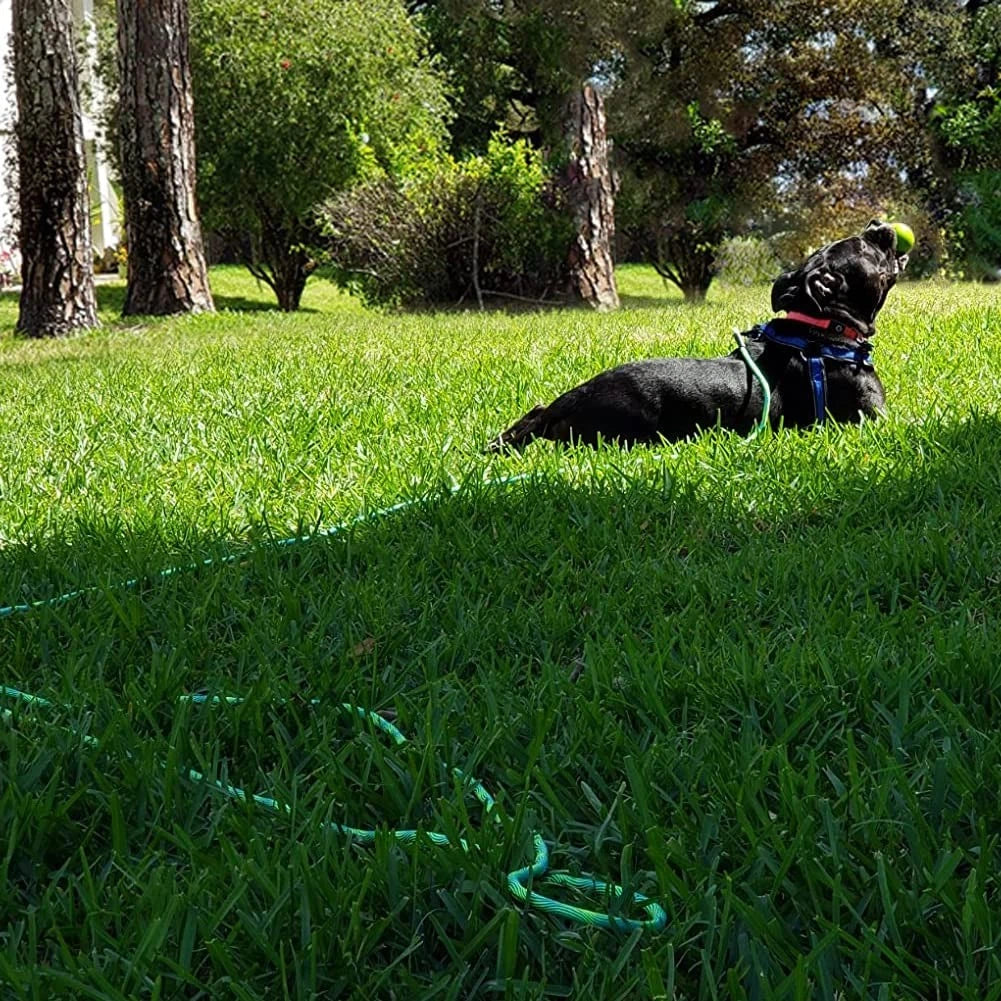 Heavy Duty Dog Tie Out Tether Long Training Leash Outdoor Yard Camp Rope Lead