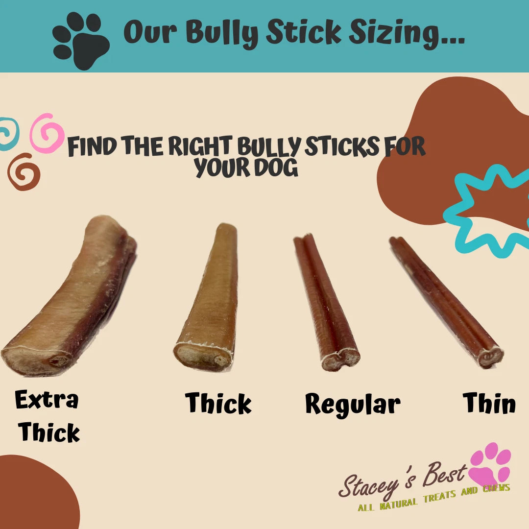 6" inch EXTRA THICK BULLY STICKS natural dog chews treats USDA & FDA approved