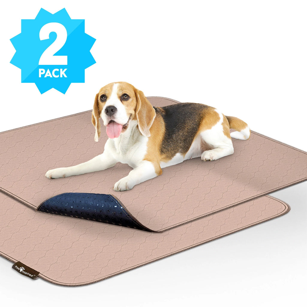 Paw Inspired Washable Dog Pads, Reusable Puppy Pee Wee Training Pads Extra Large