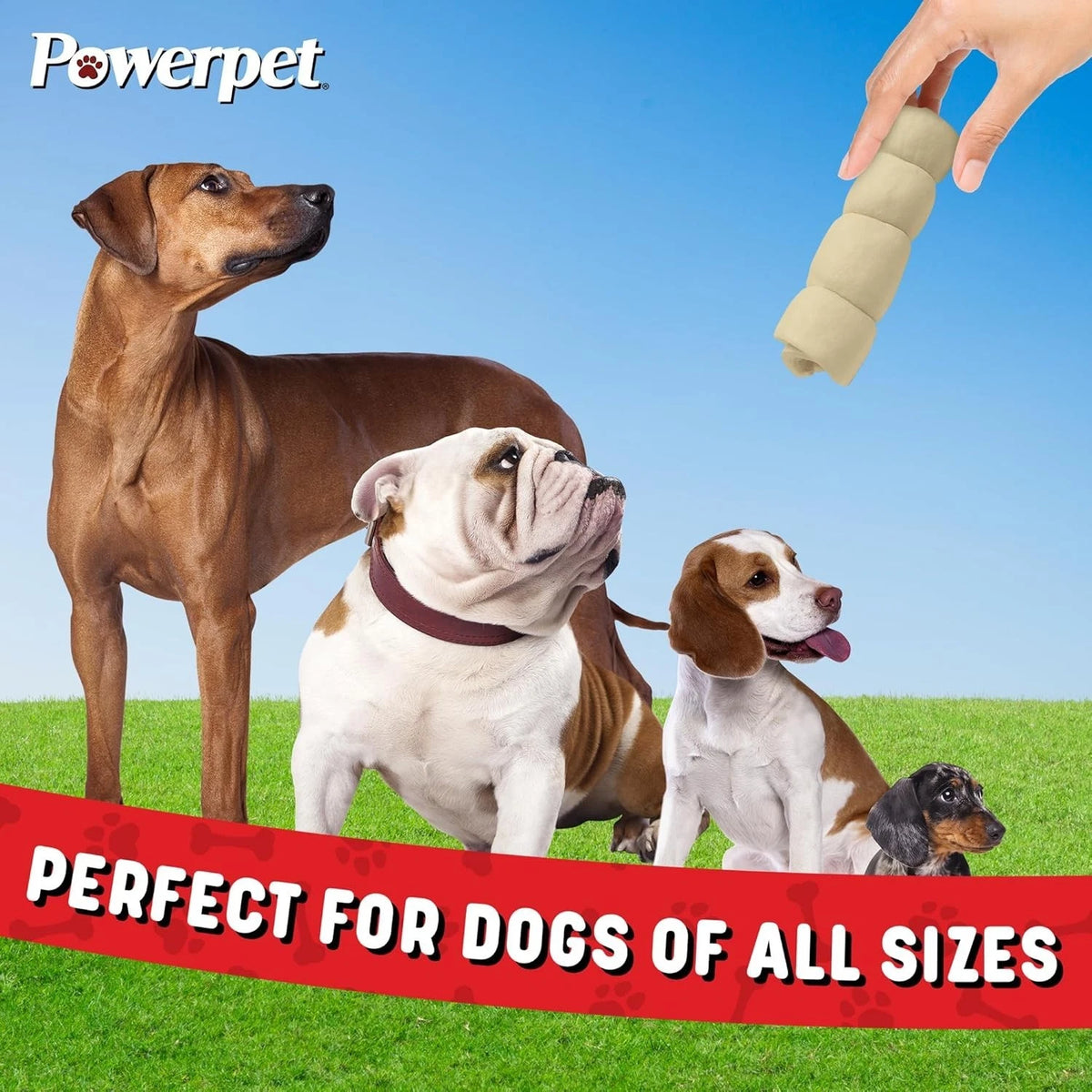 Powerpet: Beef Cheek Rolls 8-10" BULK Natural Dog Chews- Improve Dental Hygiene