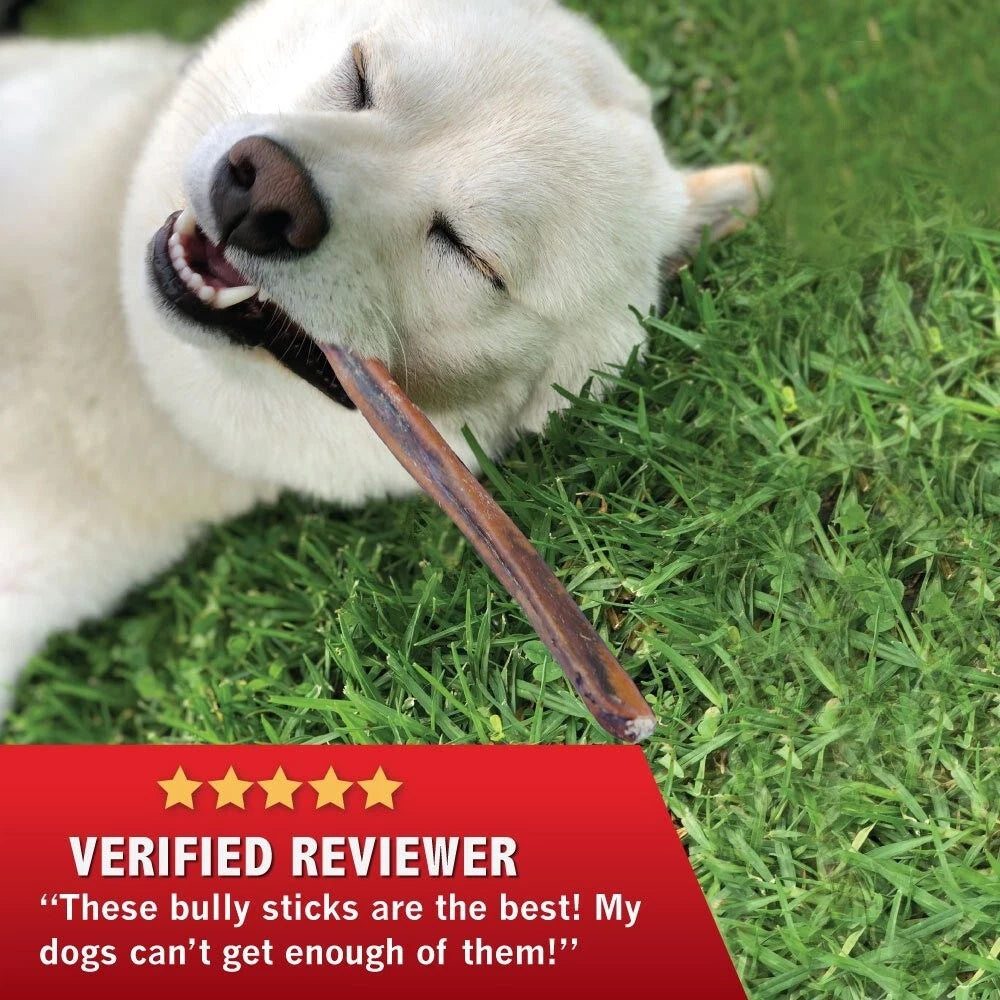 Powerpet-Bully Sticks 12" Steer-100% Natural Dog Chews & Treats, BRC Certified
