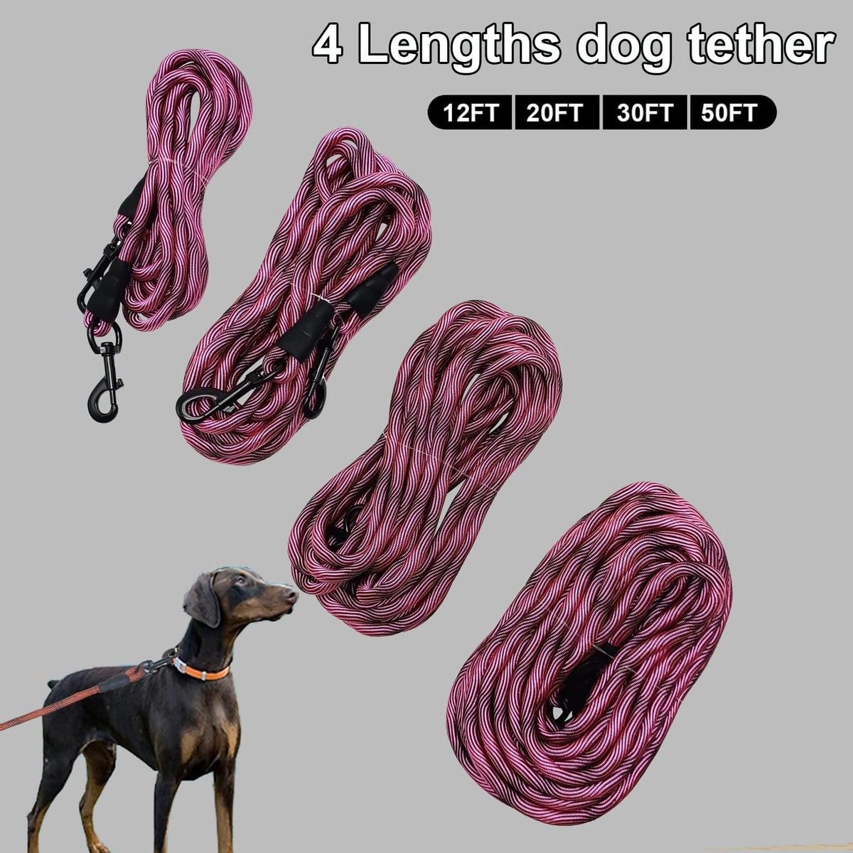 Heavy Duty Dog Tie Out Tether Long Training Leash Outdoor Yard Camp Rope Lead