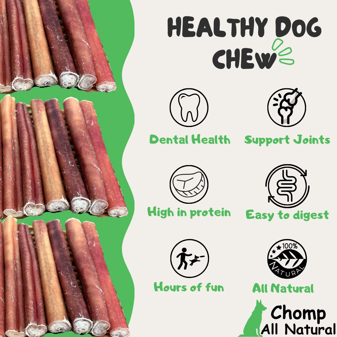 6" inch BULLY STICKS Natural Dog Treats Chews USDA & FDA Approved, By Chomp