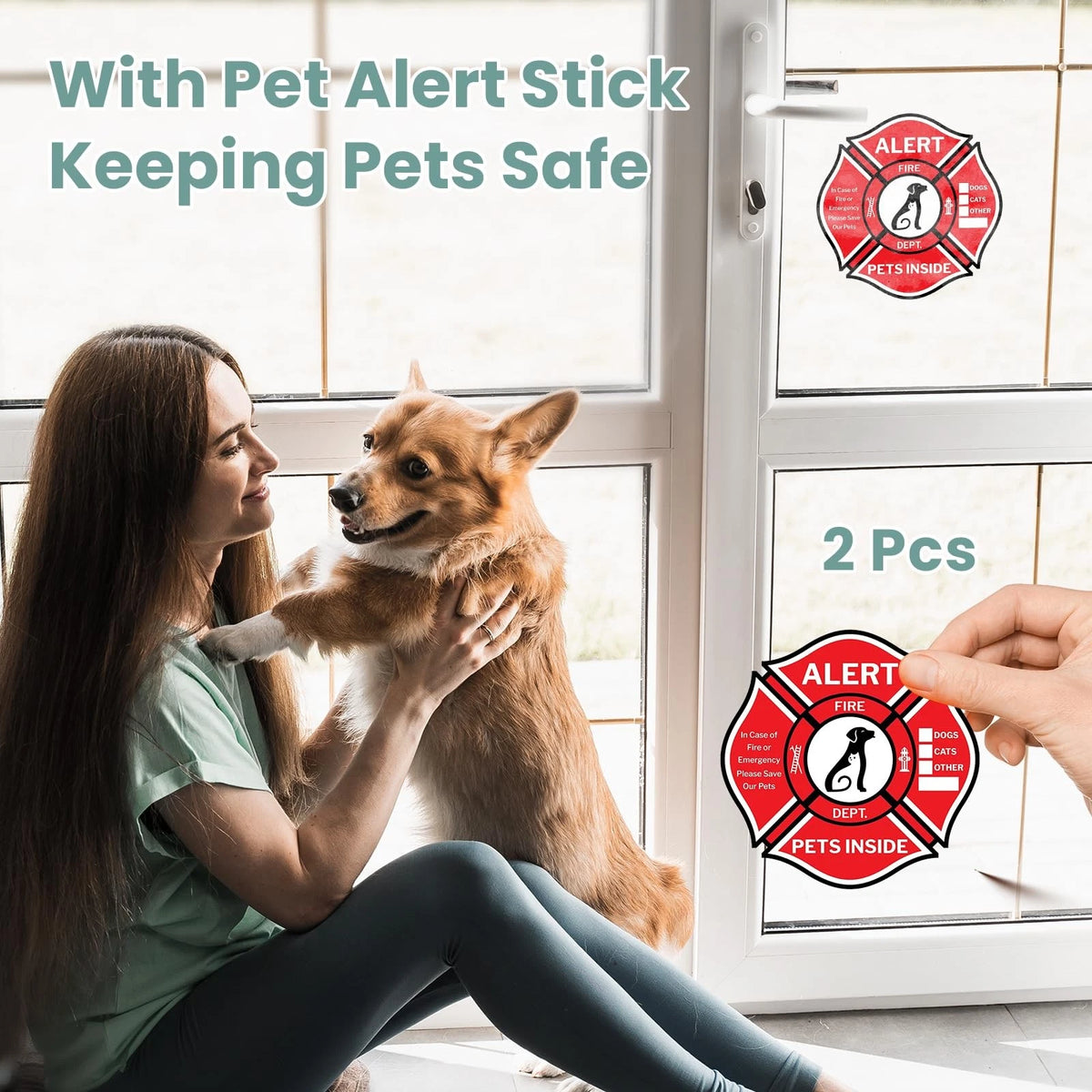 Dog Door 3 Flap, Plastic Dog Door for Wall, Large Doggy Door, Dogie Door