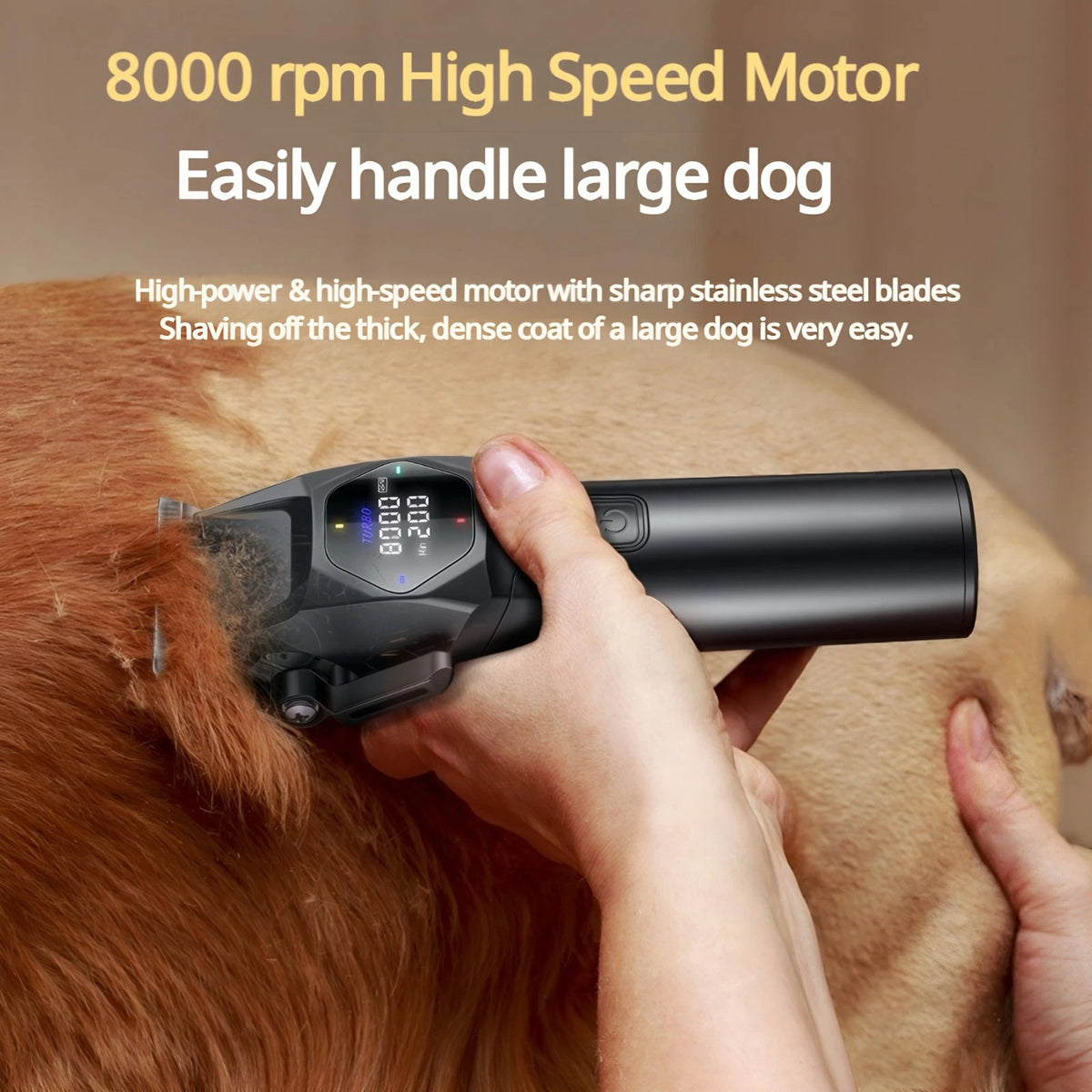 Professional 8000RPM Pet Clipper Kit for Large Dogs & Cats, Type-C, 4 Speeds