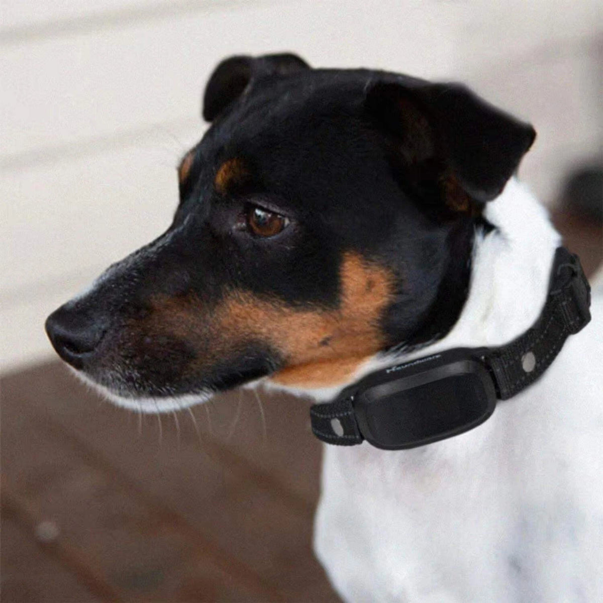 \[Houndware\] Multi-Functional Anti-Bark Collar - IP67, Dual Sensors, 4 Modes, Qui