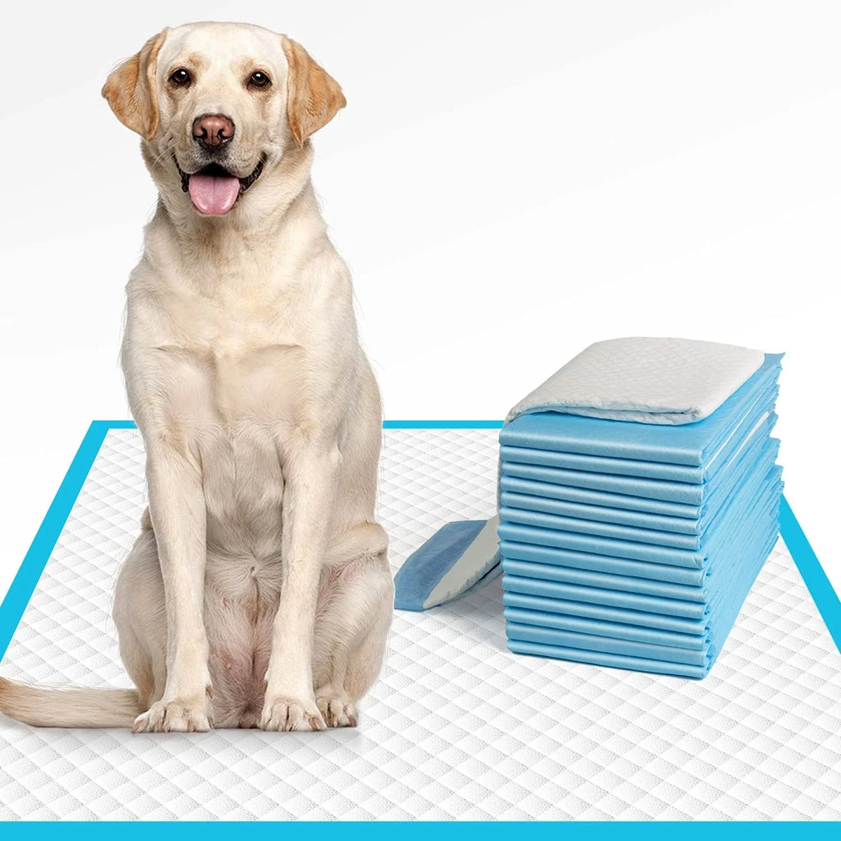 NIEDEO \[Super Absorbent Dog Pee Pads\] House Training Pads Perfect for Pet