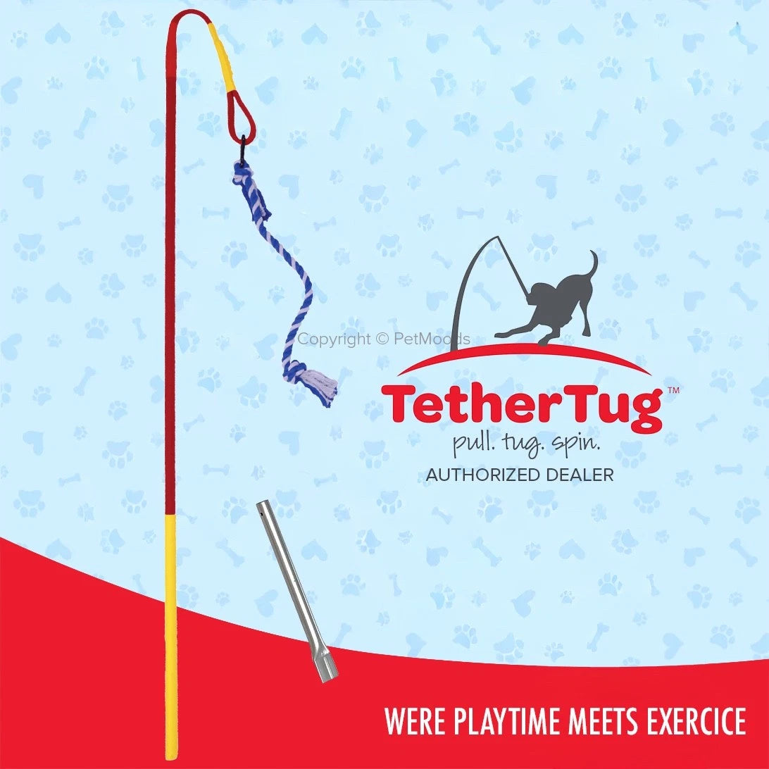 Tether Tug V2 Outdoor Dog Interactive Toy Tugging Pull Exercise 35-70 lbs and Up