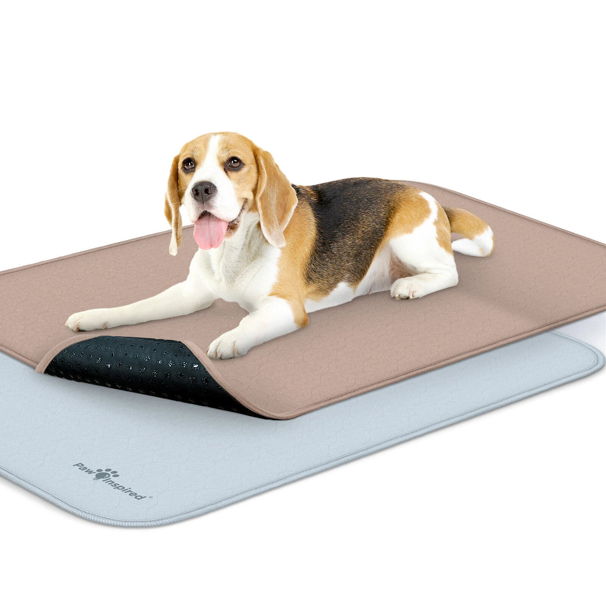 Paw Inspired Washable Dog Pads, Reusable Puppy Pee Wee Training Pads Extra Large