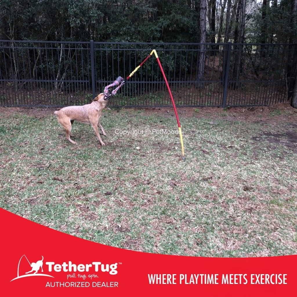 Tether Tug V2 Outdoor Dog Interactive Toy Tugging Pull Exercise 35-70 lbs and Up