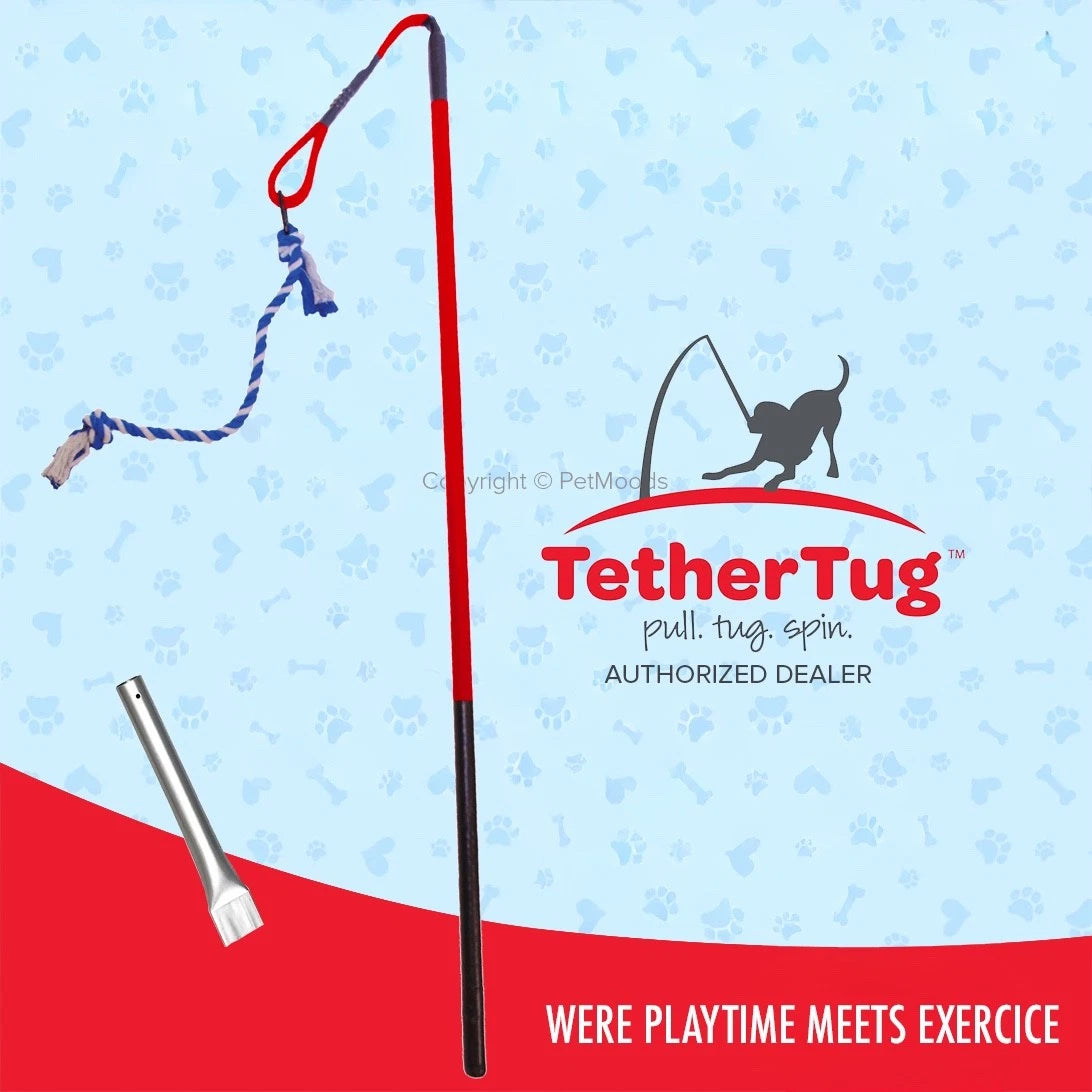 Tether Tug V2 Outdoor Dog Interactive Toy Tugging Pull Exercise 35-70 lbs and Up