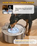 Dog Water Fountain for Large Dogs- 270oz/8L Stainless Steel Dog Water Bowl Dispe